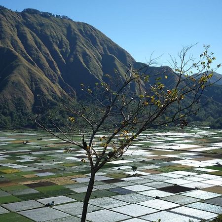 Rinjani Green Park Syariah Hotel Сембалун Лауанг Екстериор снимка
