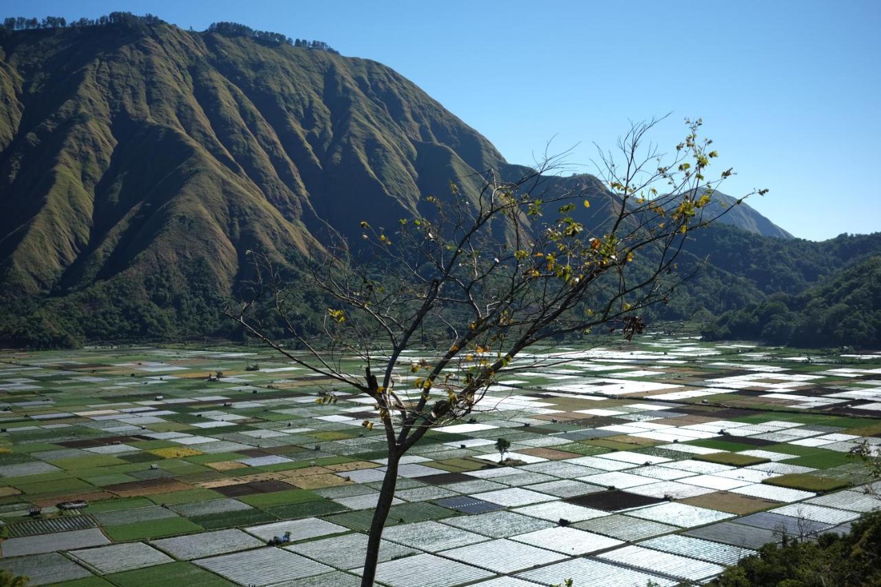 Rinjani Green Park Syariah Hotel Сембалун Лауанг Екстериор снимка
